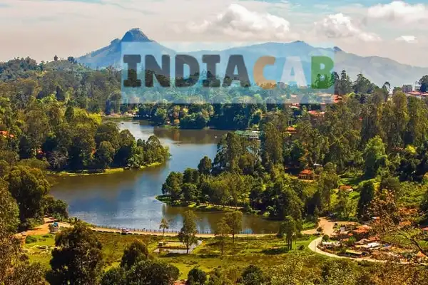 Mumbai to Bhatapara taxi