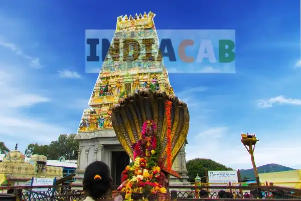 Mumbai to Dewas taxi